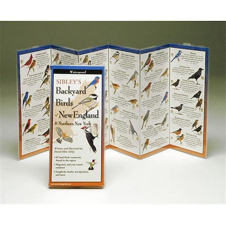 Sibleyapos;s Backyard Birds New England Northern New York Book